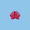 NSW Waratahs