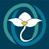 Southwest Women's Oncology Southwest Women's Oncology