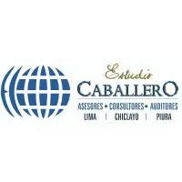 Asesores, Consultores y Auditores | Estudio Caballero
