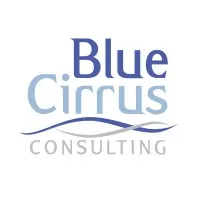 Blue Cirrus Consulting Blue Cirrus Consulting