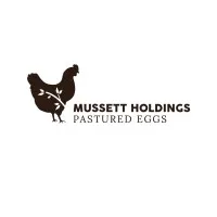 Mussett Holdings Mussett Holdings