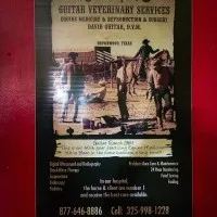 Guitar Veterinary Services