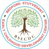 BEDFORD STUYVESANT EARLY CHILDHOOD DEVELOPMENT CENTER INC BEDFORD STUYVESANT EARLY CHILDHOOD DEVELOPMENT CENTER INC