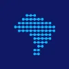 TELEBRAS TELEBRAS