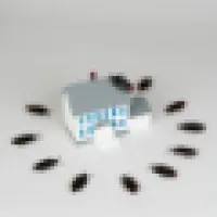 Prestige Pest Control