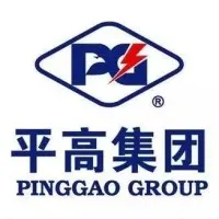 Pinggao Group Co., Ltd.