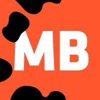 Mold Busters - The Mold Removal Experts