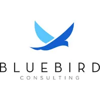 BlueBird Consulting LLC
