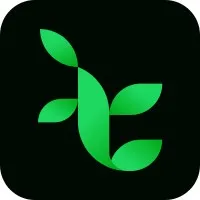 Techivies Solutions Pvt. Ltd.