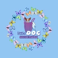 Little Dog Social Media