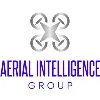Aerial Intelligence Group