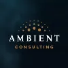Ambient Consulting Ambient Consulting