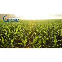 GrowGroup Israel