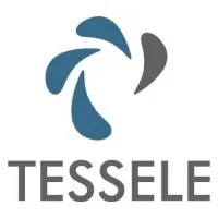 Tessele Consultants