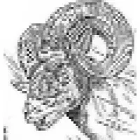 Englewood High School