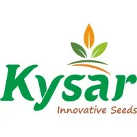 Kysar Seeds International Pvt LTD