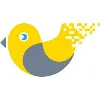 Canary Network Canary Network