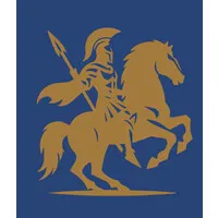 Fortis Security Inc.