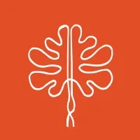 SNR Creative SNR Creative