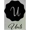 UNT Software Inc UNT Software Inc