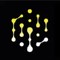 Quantum Nexus Quantum Nexus