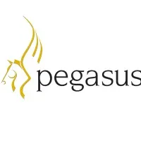 Pegasus Software Pegasus Software