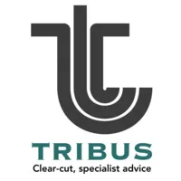 Tribus Limited Tribus Limited