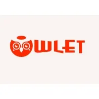 THE - OWLET LIMITED