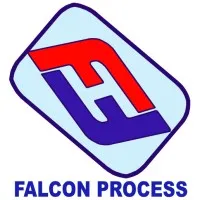Falcon-Process Company