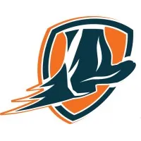 Big Swift Kick - Sales Training and Consulting