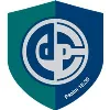 Diversified Protection Corporation Diversified Protection Corporation