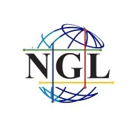 New Generation Link Contracting and Trading Services, Inc.