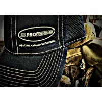 Professional Heating and Air Conditioning