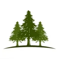 Springview Capital Management LP