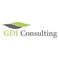 GDI Consulting