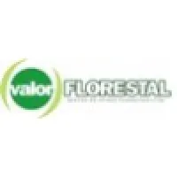 Valor Florestal - Gestao de Ativos Florestais