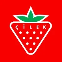 Çilek email format