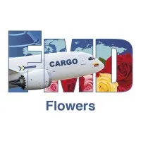FMD International Business Inc.