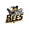 New Britain Bees Summer Collegiate Baseball Club New Britain Bees Summer Collegiate Baseball Club