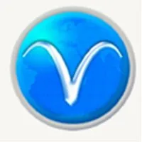 V Solutions Global LLC