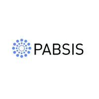Pabsis Business Consulting Services