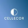 Cellecor Gadgets Ltd.