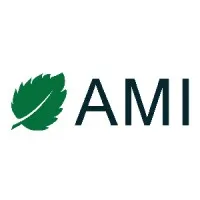 AMI (Application Management Inc.)