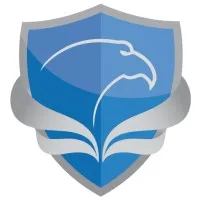 Falcon Network Services