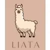 Liata Private ltd Liata Private ltd