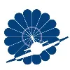 BRS Aerospace BRS Aerospace