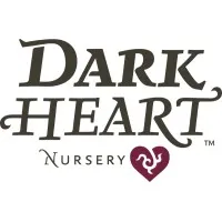 Dark Heart