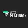 BCG Platinion BCG Platinion