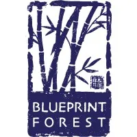 Blueprint Forest