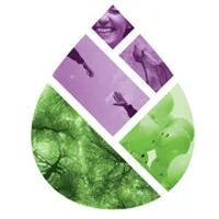 Udruženje za prevenciju ovisnosti NARKO-NE